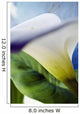 Calla Lily, Extreme Close-Up, View From Side Wall Mural
