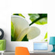 Calla Lily, Extreme Close-Up Of Large White Petal, View From Below Wall Mural