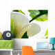 Calla Lily, Extreme Close-Up Of Large White Petal, View From Below Wall Mural