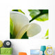 Calla Lily, Extreme Close-Up Of Large White Petal, View From Below Wall Mural