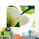 Calla Lily, Extreme Close-Up Of Large White Petal, View From Below Wall Mural