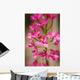 Hawaii, Maui, Close-Up Of Pink Epidendrum Orchids On Stem Wall Mural