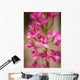 Hawaii, Maui, Close-Up Of Pink Epidendrum Orchids On Stem Wall Mural