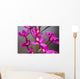 Hawaii, Maui, Close-Up Of Purple Epidendrum Orchids On Stem Wall Mural