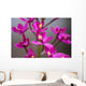 Hawaii, Maui, Close-Up Of Purple Epidendrum Orchids On Stem Wall Mural