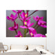 Hawaii, Maui, Close-Up Of Purple Epidendrum Orchids On Stem Wall Mural