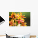 Hawaii, Maui, Close-Up Of Orange Epidendrum Orchid Cluster Wall Mural