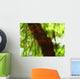 Green And Red Tree Reflections In Water Wall Mural