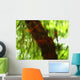 Green And Red Tree Reflections In Water Wall Mural