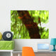 Green And Red Tree Reflections In Water Wall Mural