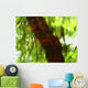 Green And Red Tree Reflections In Water Wall Mural