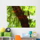 Green And Red Tree Reflections In Water Wall Mural
