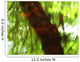 Green And Red Tree Reflections In Water Wall Mural
