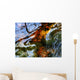 Ripples And Reflections On Water Surface Wall Mural
