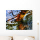 Ripples And Reflections On Water Surface Wall Mural