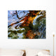 Ripples And Reflections On Water Surface Wall Mural