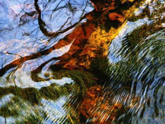 Ripples And Reflections On Water Surface Wall Mural