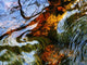 Ripples And Reflections On Water Surface Wall Mural