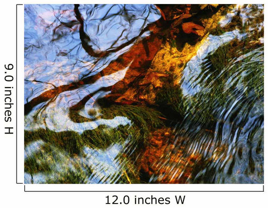 Ripples And Reflections On Water Surface Wall Mural