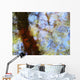Ripples And Reflections On Water Surface Wall Mural