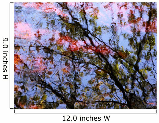 Ripples And Reflections On Water Surface Wall Mural