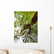 Ripples And Reflections On Water Surface Wall Mural