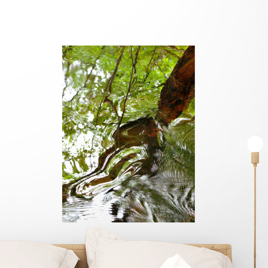 Ripples And Reflections On Water Surface Wall Mural