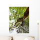 Ripples And Reflections On Water Surface Wall Mural