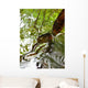Ripples And Reflections On Water Surface Wall Mural