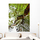Ripples And Reflections On Water Surface Wall Mural