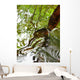 Ripples And Reflections On Water Surface Wall Mural