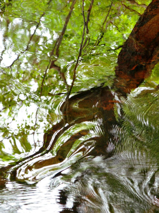 Ripples And Reflections On Water Surface Wall Mural