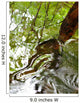 Ripples And Reflections On Water Surface Wall Mural