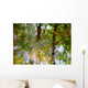 Ripples And Reflections On Water Surface Wall Mural