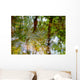 Ripples And Reflections On Water Surface Wall Mural