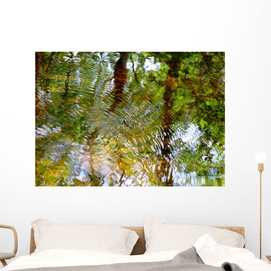 Ripples And Reflections On Water Surface Wall Mural