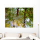 Ripples And Reflections On Water Surface Wall Mural