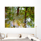 Ripples And Reflections On Water Surface Wall Mural
