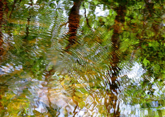 Ripples And Reflections On Water Surface Wall Mural
