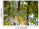 Ripples And Reflections On Water Surface Wall Mural