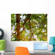 Ripples And Reflections On Water Surface Wall Mural
