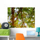 Ripples And Reflections On Water Surface Wall Mural