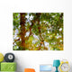 Ripples And Reflections On Water Surface Wall Mural