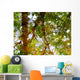 Ripples And Reflections On Water Surface Wall Mural