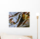 Ripples And Reflections On Water Surface Wall Mural