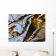 Ripples And Reflections On Water Surface Wall Mural