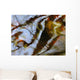 Ripples And Reflections On Water Surface Wall Mural