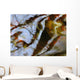 Ripples And Reflections On Water Surface Wall Mural