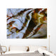 Ripples And Reflections On Water Surface Wall Mural