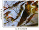 Ripples And Reflections On Water Surface Wall Mural